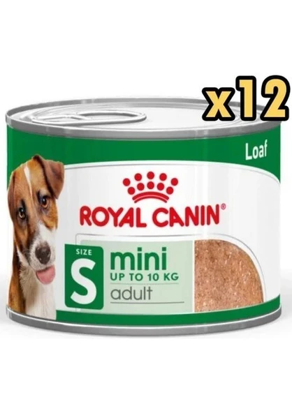Royal Canin Loaf Mousse Küçük Irk Ezme Yetişkin Köpek Konservesi 195 gr x 12 Adet ürün görseli