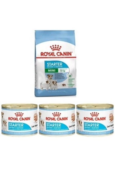 Royal Canin Mini Starter Anne ve Yavru Köpek Maması 3 kg ürün görseli 1
