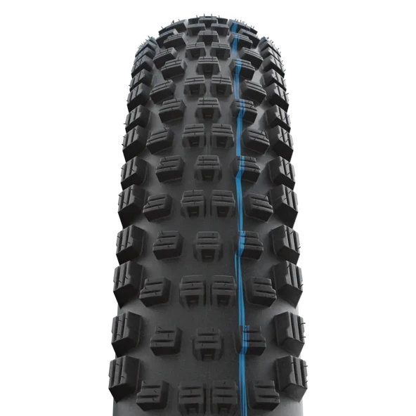 SCHWALBE  WICKED WILL 29x2.40 TUBELESS EVO SUPER GROUND KATLANIR DIŞ LASTİK - Resim 2