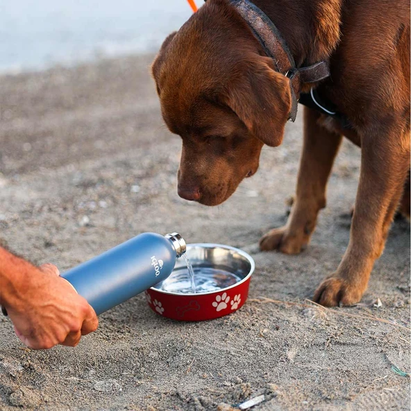 Igloo Hydrate Pro Termos 500ml-MAVİ - Resim 7