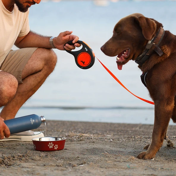 Igloo Hydrate Pro Termos 500ml-MAVİ - Resim 6