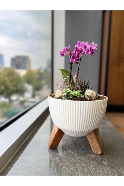 Omnipazar ELF-496 Dekoratif Ayaklı Nostalji Saksı 9 lt Beyaz 5 Adet - Resim 3