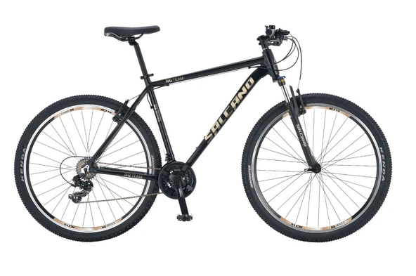 Salcano NG Team 200 29 Jant 21 Vites V-Fren Dağ Bisikleti Siyah Mavi ürün görseli