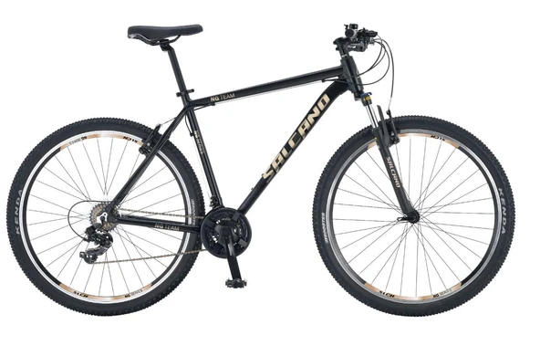 Salcano NG Team 200 26 Jant 21 Vites V-Fren Dağ Bisikleti Antrasit Şampanya Altın ürün görseli 1