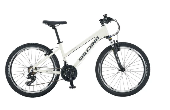 Salcano NG Team200 Lady 24 Jant 21 Vites V-Fren Çocuk Dağ Bisikleti Krem Gümüş - Resim 2