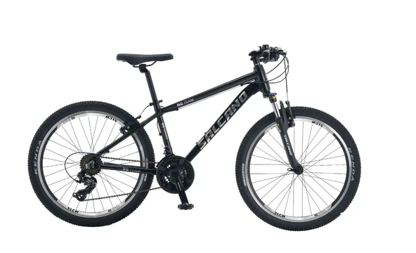 Salcano NG Team 300 26 Jant 21 Vites V-Fren Dağ Bisikleti Siyah Gümüş - Resim 2