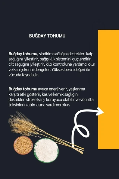 Diyetix Iron Magıc - Karışık Bitki Tozu Iştah Açıcı - Resim 3