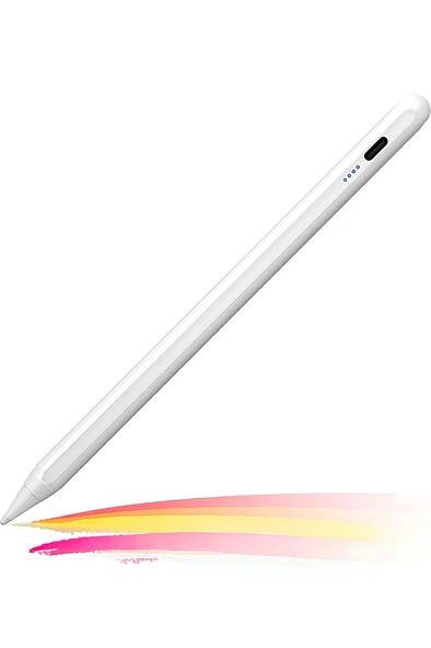 Daytona 2260 Ios/Android/Windows Dokunmatik Ekran Için Type C Şarj Kablolu Stylus Dokunmatik Yazı ve Çizim Kalemi ürün görseli 1