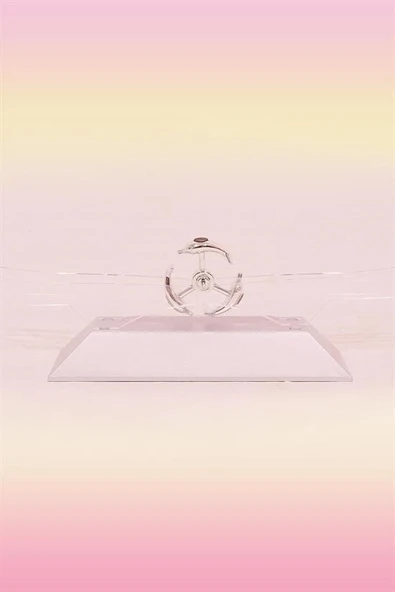 Dekoratif Masa Üstü Obje Manyetik Kinetik Orbital Dönen Yunuslar - Resim 4