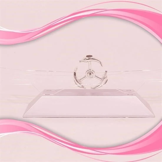 Dekoratif Masa Üstü Obje Manyetik Kinetik Orbital Dönen Yunuslar - Resim 2