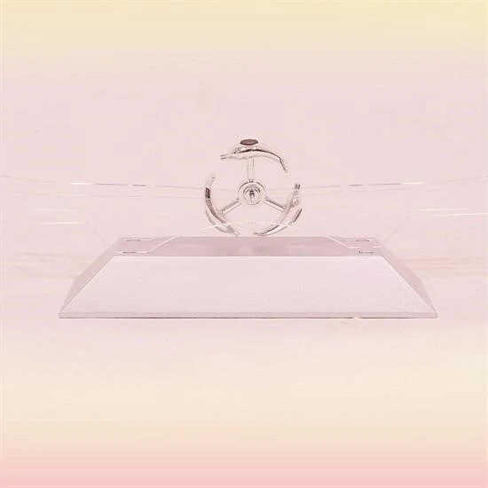 Dekoratif Masa Üstü Obje Manyetik Kinetik Orbital Dönen Yunuslar ürün görseli