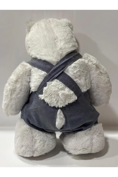 peluş SEVİMLİ PELUŞ AYICIK (40CM) - 3