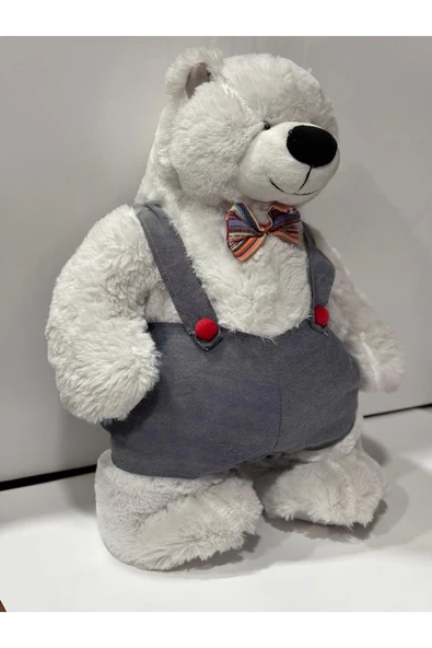 peluş SEVİMLİ PELUŞ AYICIK (40CM) - 2