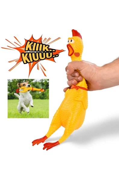 TUENGİ STORE Büyük Boy Öten Çığlık Atan Horoz Tavuk Shrilling Chicken Kedi Köpek Oyuncağı - 1