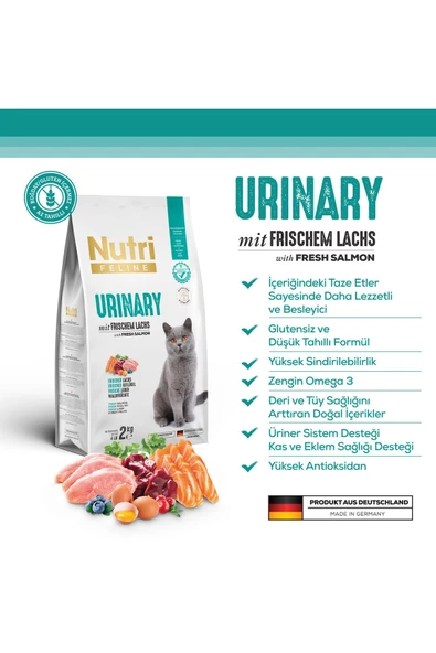 Nutri Feline Urinary Böbrek Sağlığı Destekleyici Somonlu Düşük Tahıllı Yetişkin Kedi Maması 2 Kg ürün görseli 1
