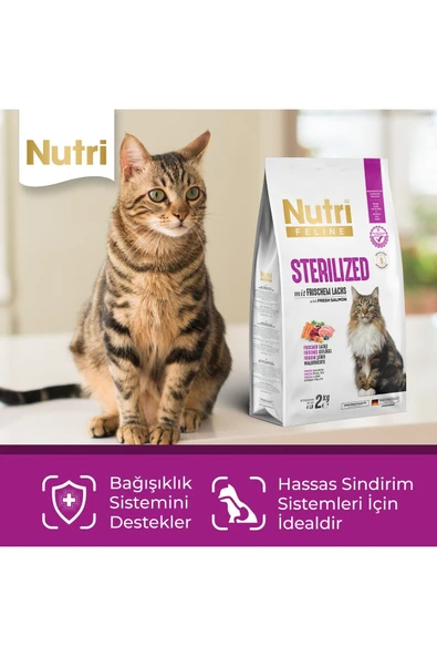 Nutri Feline Kısırlaştırılmış Kedi Maması Sterilized Taze Somonlu Glutensiz 2 Kg - 3