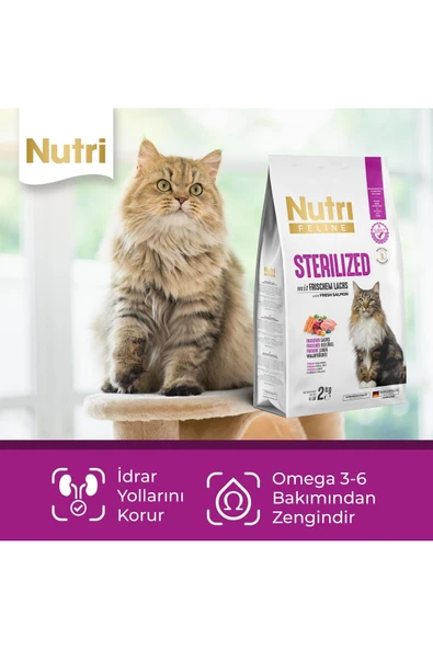 Nutri Feline Kısırlaştırılmış Kedi Maması Sterilized Taze Somonlu Glutensiz 2 Kg - 4