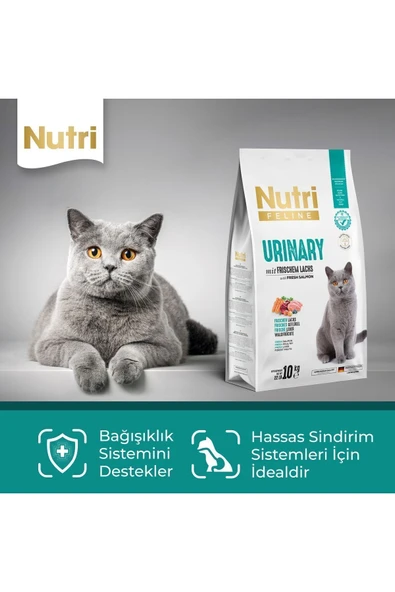 Nutri Feline Urinary Böbrek Sağlığı Destekleyici Somonlu Düşük Tahıllı Yetişkin Kedi Maması 2 Kg - 3