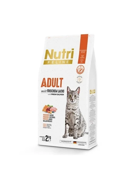 Nutri Feline Yetişkin Kedi Maması Taze Somonlu Glutensiz 2 Kg - 1
