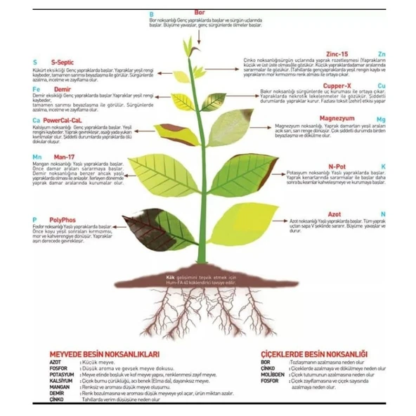 EVO CU SIVI BAKIR GÜBRESi 5 LT Bakır Sülfat - Resim 2