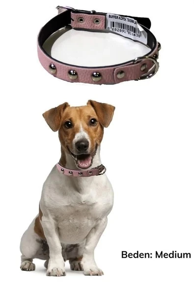İpek Yıldızı® Yumuşak Dokulu Deri Köpek Gezdirme Boyun Tasması Medium - 3
