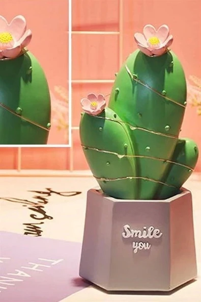 İpek Yıldızı® Led Işıklı Kaktüs Biblo Ev Dekorasyon ve Hediyelik Eşya Led Aydınlatma - Resim 7