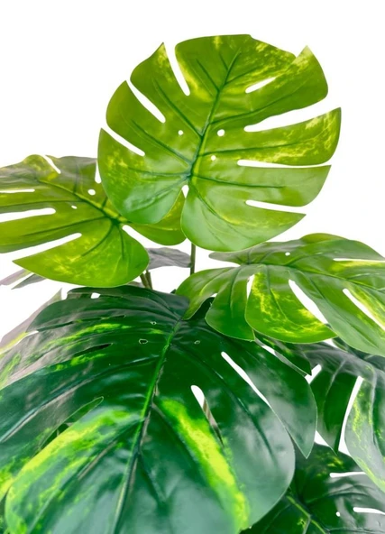Yapay Çiçek Salon Bitkisi Monstera Tropik Desenli  70cm 18 Yaprak Antrasit Krem Saksıda - Resim 3