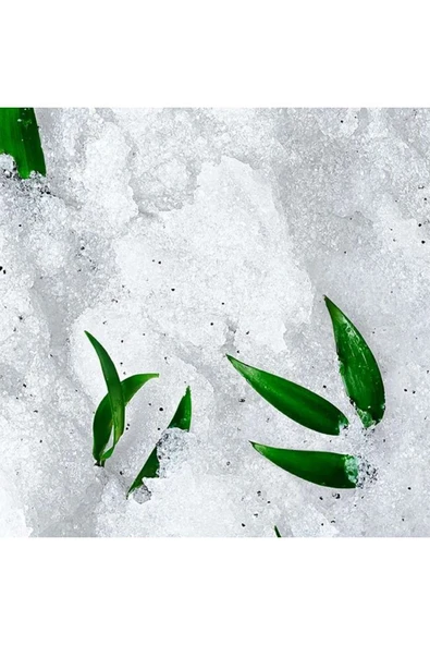 NUXE Body Reve De The Revitalising Granular Scrub 150 ml 3264680022005 - Resim 4