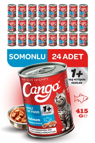 Cango Yetişkin Yaş Kedi Maması Somonlu 415Gr 24Lü ürün görseli 1