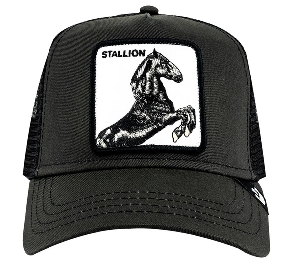 Stallion 101-0393 - Resim 2