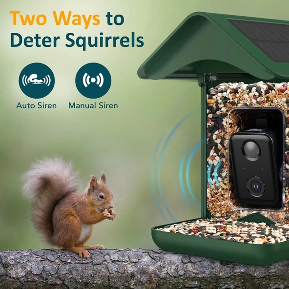 BirdLegend Akıllı Kuş Yemliği Kameralı Güneş Enerjili, 1080P HD - Yeşil - 6