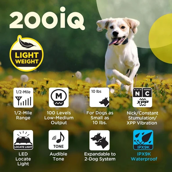 Dogtra 200iQ Uzaktan Eğitim E-Tasması 4,5+ Kg Köpekler - Çiçekli - 6