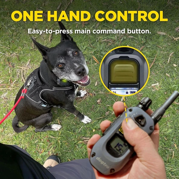 Dogtra 280X E-Tasma Uzaktan Kumandalı 2 Köpek Eğitim 1/2 Mil, 4,5 kg - 4