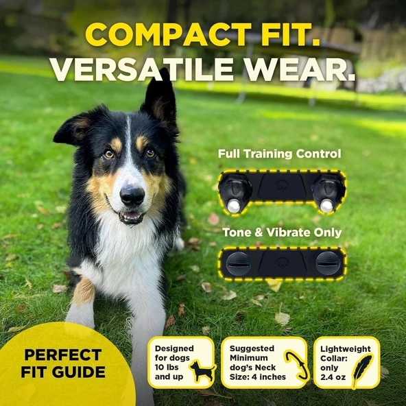 Dogtra 200iQ Uzaktan Eğitim E-Tasması 4,5+ Kg Köpekler - Gri - 4