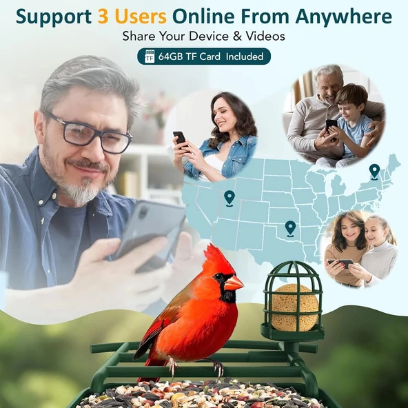 BirdLegend Akıllı Kuş Yemliği Kameralı Güneş Enerjili, 1080P HD - Yeşil - 4