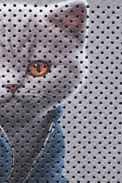 MatGo Pati Kedi Kumu Matı Çift Katlı Sıvı Geçirmez Kaymaz Elekli Yıkanabilir Kedi Tuvaleti Paspası 40x60cm - Resim 5