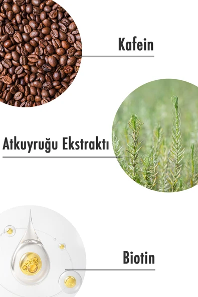 Saç Dökülme Karşıtı Sülfatsız Şampuan 400 ML | Tüm Saç Tipleri | Sülfatsız, Tuzsuz, Vegan Şampuan - Resim 3