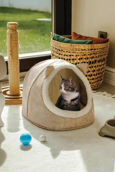 Alas Keçe Kedi Ve Köpek Evi Yatağı Bej Paspas Hediyeli - 5