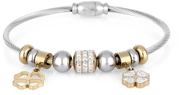 DANIEL KLEIN DKJ.3.2122.2 ÇELİK KADIN BİLEKLİK