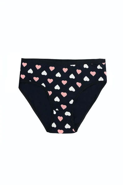 Bicomi Büyük Beden Pamuklu Likralı Karışık Renkli 3lü Külot - Resim 3