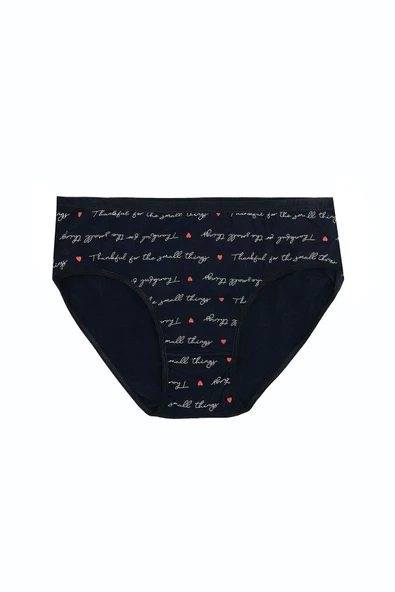 Bicomi Büyük Beden Pamuklu Likralı Karışık Renkli 3lü Külot - Resim 4