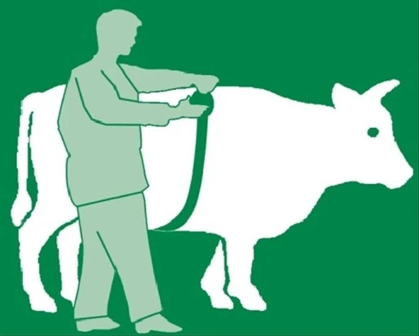 Kerbl Dana Metre Kilo Ölçer-2.5 Metre - Resim 2