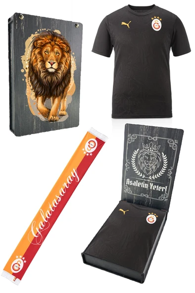 Galatasaray Orijinal Lisanslı Sıfır Yaka Siyah A Takım Antrenman T-Shirt - Resim 4