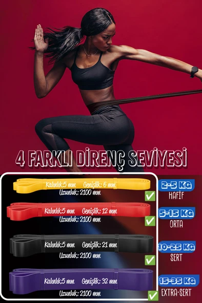 9lu TERA SET 5+15+25+35 KG + 5Li Pilates Direnç Bandı Barfiks Lastiği Loop Band Mavi Ton - Resim 4
