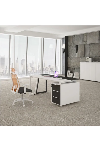 Hitit Dekorasyon Dila Siyah&beyaz Metal Çalışma Masası