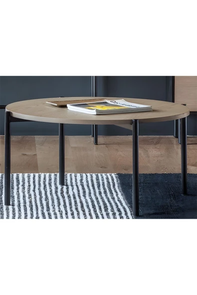 Hitit Dekorasyon Tia Siyah Metal&ahşap Orta Sehpa - Resim 2