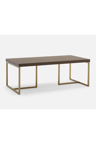 Hitit Dekorasyon George Gold Metal Ahşap Orta Sehpa