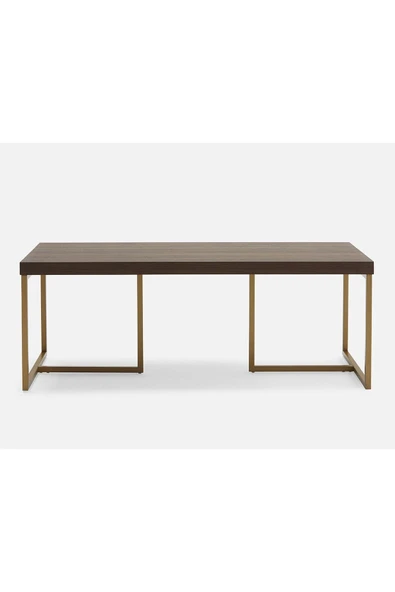 Hitit Dekorasyon George Gold Metal Ahşap Orta Sehpa - 2