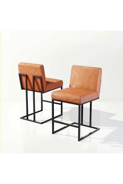 Hitit Dekorasyon Frame Siyah Metal Sandalye Deri - 2