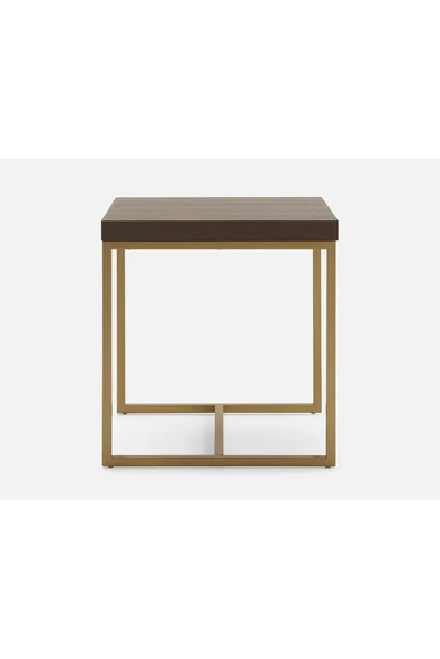 Hitit Dekorasyon George Gold Metal Ahşap Yan Sehpa - Resim 3